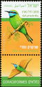 Arabian Green Bee-Eater (Merops orientalis)