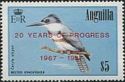 Belted Kingfisher (Ceryle alcyon) - Overprinted
