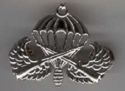 Paratrooper badge 1 type