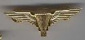 Paratrooper badge 1 type