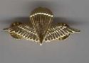 Paratrooper badge 1 type