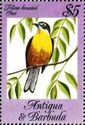 Yellow-breasted Chat (Icteria virens)