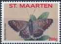 Nais Metalmark (Apodemia nais)