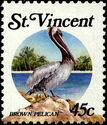 Brown Pelican (Pelecanus occidentalis)