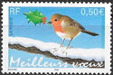 European Robin (Erithacus rubecula)
