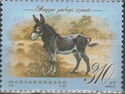 Hungarian Parlag Donkey (Equus asinus asinus)