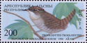 Sukhum Region: Wren (Troglodytes troglodytes)