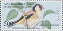 Gal Region: Goldfinch (Carduelis carduelis)