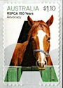 Advocacy : Horse