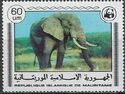 African Elephant (Loxodonta africana)