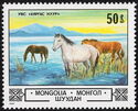 Horse (Equus ferus caballus) at Uvs Lake
