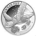 50 Dollars (Ocean Five - Hawksbill Turtle)