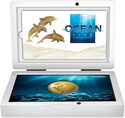 100 Dollars (Ocean Five - Bottlenose Dolphins)