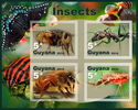 Fauna Insects