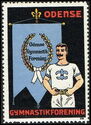 Odense Gymnastikforening Gymnast