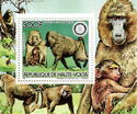 Olive Baboon (Papio anubis)