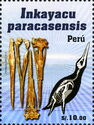 Inkayacu paracasensis