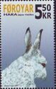 Mountain Hare (Lepus timidus)