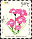 Carpathian Glossy Pink (Dianthus Nitidus)