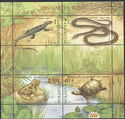 Red Book of Moldova - Reptiles and Amphibians (2005)