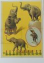 Circus Elephant