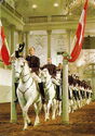 Vienna. Spanish Riding School