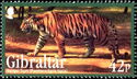 Bengal Tiger (Panthera tigris tigris)