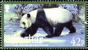 Giant Panda (Ailuropoda melanoleuca)