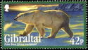 Polar Bear (Ursus maritimus)