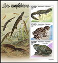 Amphibians