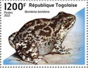 European Fire-bellied Toad (Bombina bombina)