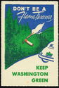 Dont be a flame thrower. Keep Washington Green