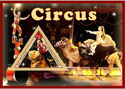 Circus