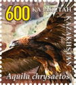 Golden Eagle (Aquila chrysaetos)