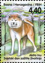 World Animal Protection Day - Akita Dog
