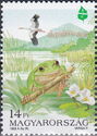 European Tree Frog (Hyla arborea), White Stork (Ciconia cico