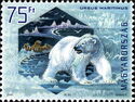 Polar Bear (Ursus maritimus)