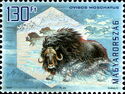 Muskox (Ovibos moschatus) - iridescent