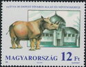 White Rhinoceros (Ceratotherium simum)