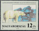 Polar Bear (Ursus maritimus)