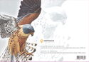Birds of Prey in Red Book of Ukraine (Complete Booklet)