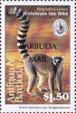 Ring-tailed Lemur (Lemur catta) - Overprinted