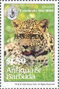 Leopard (Panthera pardus) - Overprinted