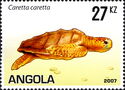 Loggerhead (Caretta caretta)