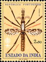 Anopheles Mosquito (Anopheles sp.)