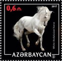 White Andalusian Horse