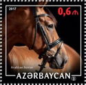Arabian Horse