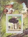 Agaricus niger