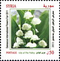 Lily of the Valley