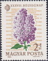 Lilac (Syringa sp.)